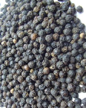 Black Pepper Seeds